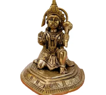 Hnuman ji statue (Item no-228)